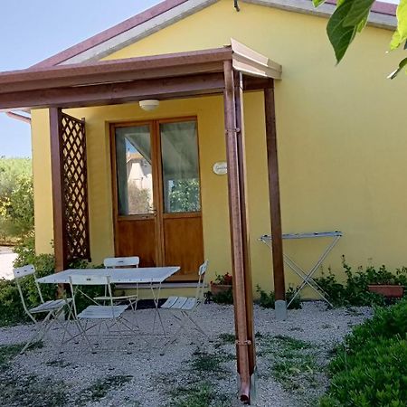 Agriturismo I Ciliegi Appartamento Ginestra Montignano Exterior foto